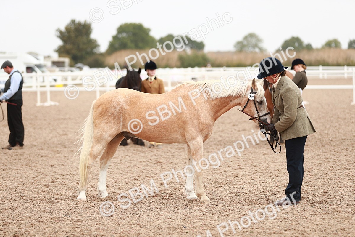 SBM_12479 - Class 207 IH M&M