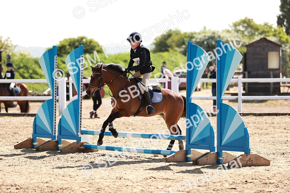 SBM_006821 - Class 2 - 50cm