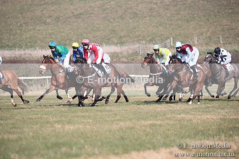 PtP 230219 227 - Vine & Craven Point-To-Point - Barbury 23/02/19
