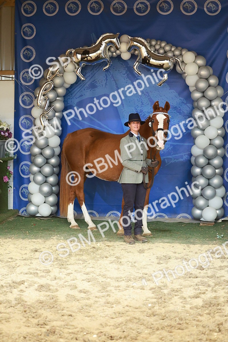 SBM_13722 - Class 104 - IH  Costume