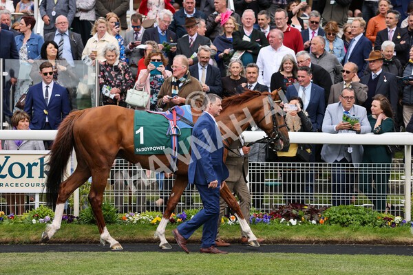 yr13052022r4-16 - Race 4 3.35pm The Paddy Power Yorkshire Cup (British Champions Series Race)