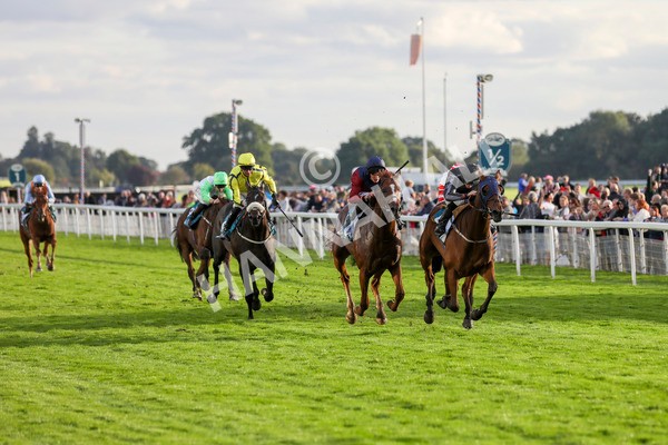 230923-Race 7-Two Brothers-5481 - Race 7 5.30pm Neil Atkinson's 60th Birthday Celebration Handicap