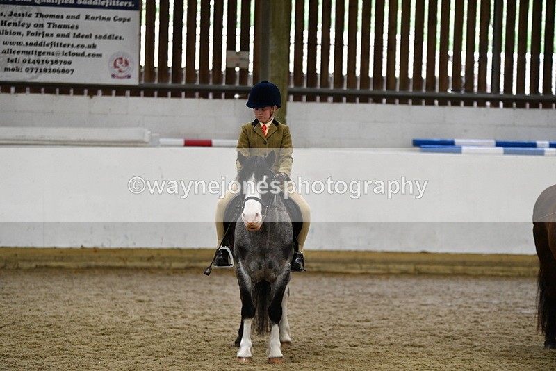 WJ5_7049 - Class 10 Childs Pony