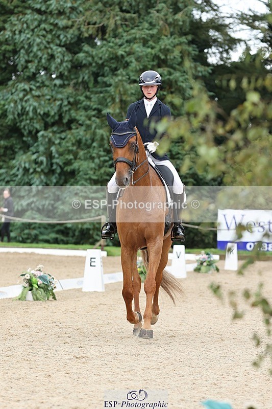 240810-155109-04107 - 208-Tom.Carter-Rubin.Regal