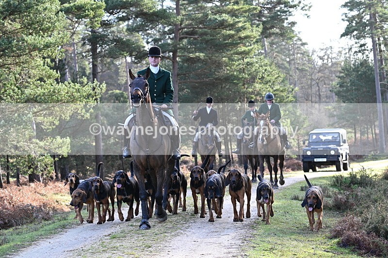 WJ7_7695 - Line 3 (no line 4 or 5)