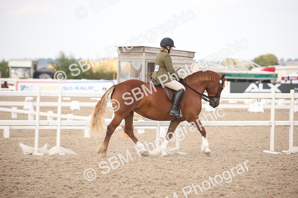 SBM_08758 - Class 12R Regional Ridden Pre-Vet