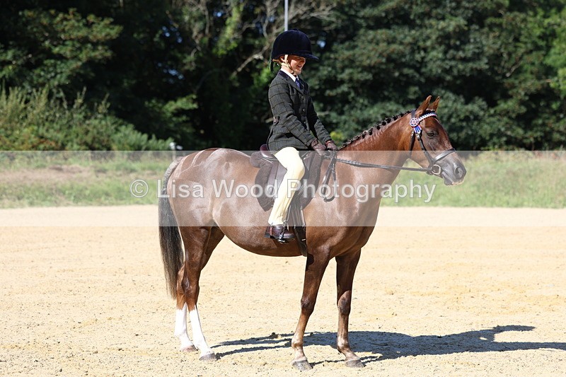 3E7A7918 - Class 14: Tack and Turnout