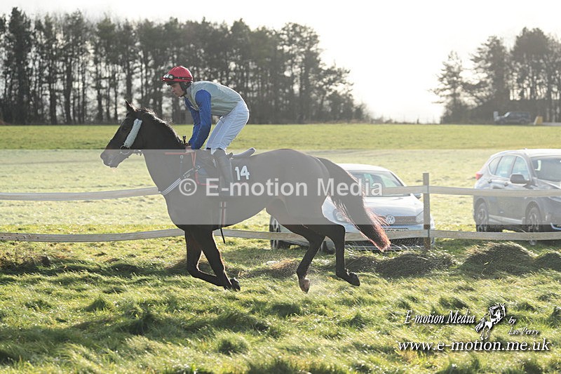 PtP 101223 995 - New Forest Hounds PtP Larkhill 10/12/23