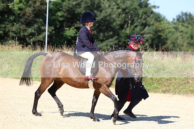 3E7A7973 - Class 14: Tack and Turnout