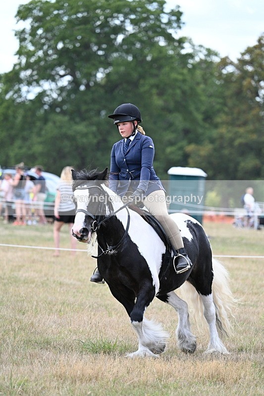 WJ7_5367 - Class 12 Ridden Cob