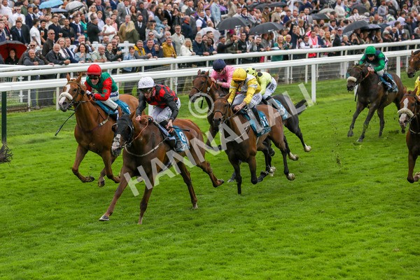 130724-Race 1-Blue For You-1942 - Race 1 2.00pm John Smith's Racing Handicap