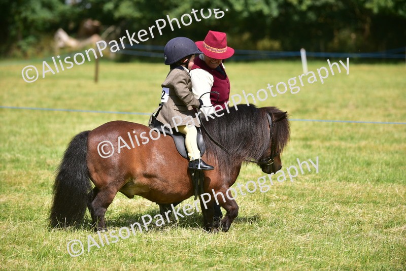 20260614-1161 - Class 11a - Lead Rein Pony (Unplaited)