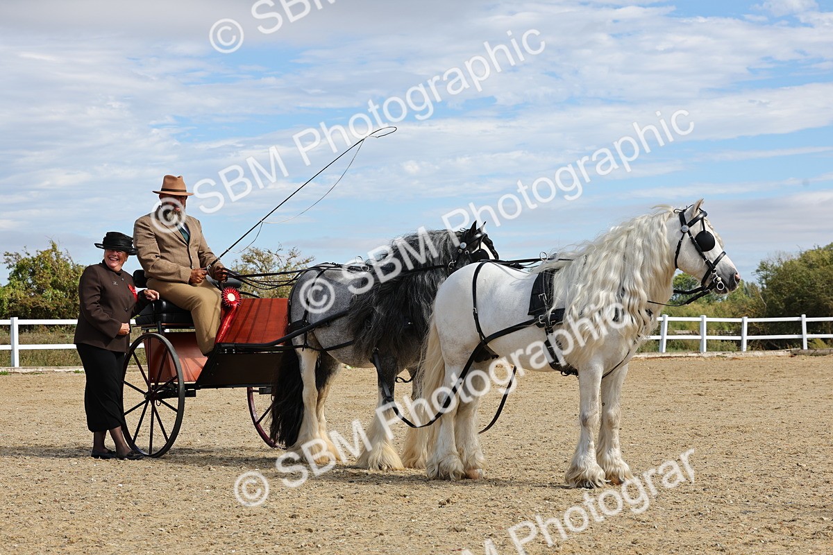 SBM_001253 - Class 16 - Pairs ,Multiples and Tandems