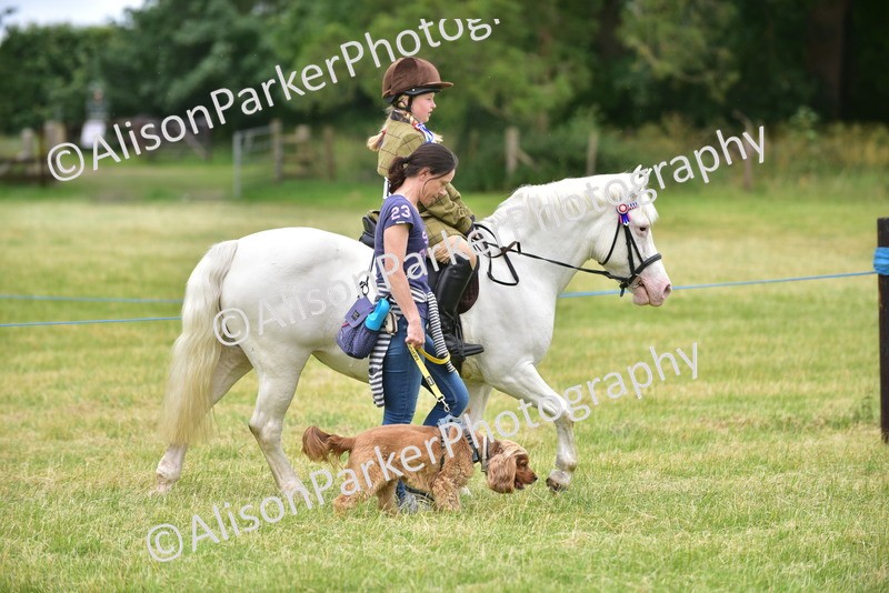 20260614-4519 - Class 19 - Cutest Pony, Rider and Dog Combination
