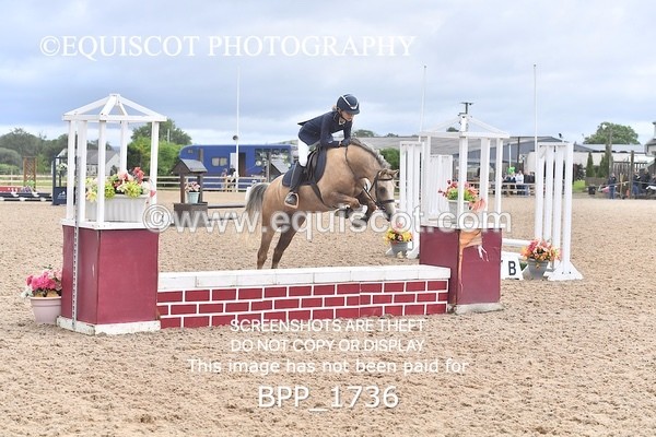 BPP_1736 - DERBY CLASS 4 - 50CM