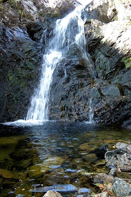 Mountain Stream - Water