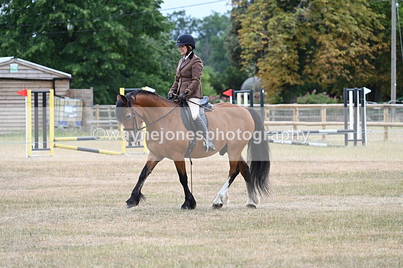 WJ7_0316 - Class 6 Ridden Mountain and Moorland
