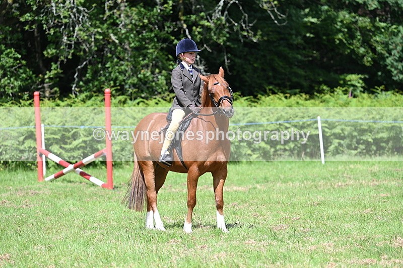 WJ7_1751 - Class 9 Pony Club Pony