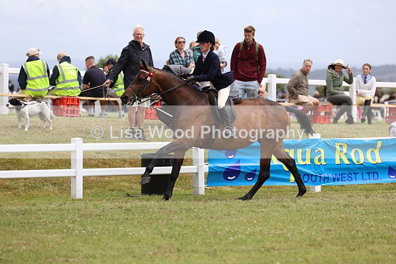 3E7A1000 - Class 8: Open Riding Horse/Hack