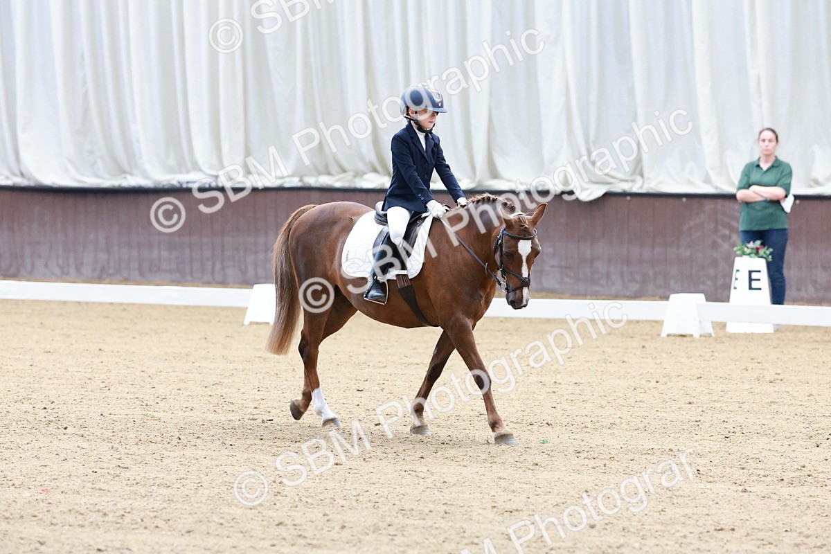 SBM_003155 - Intro 2