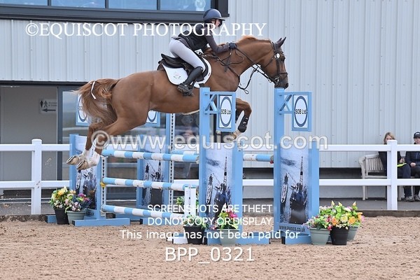 BPP_0321 - CLASS 26 SUN 5 Year Old Non Qualifier