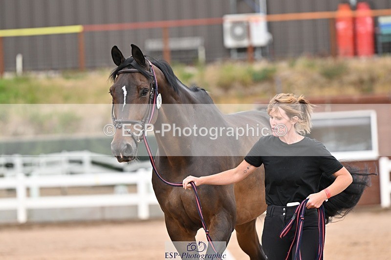 250716-163411-02672 - Trot Up 4.30 to 5.00