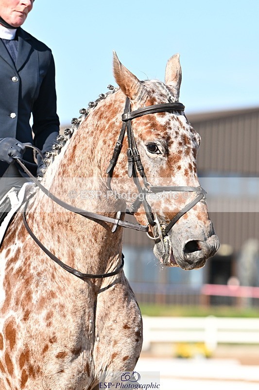 240816A-165903-06325 - 164-Emma.jane.Brown-JUBILEE.HARVEST