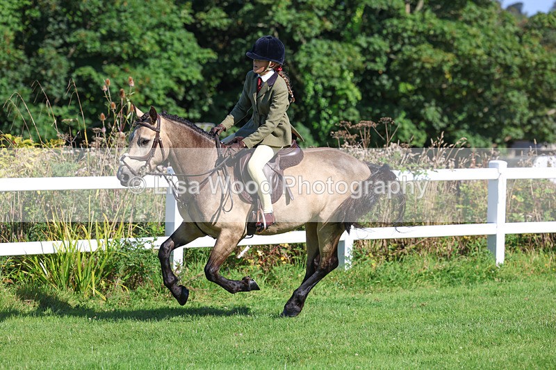 3E7A7861 - Class 2: Open Working Hunter pony