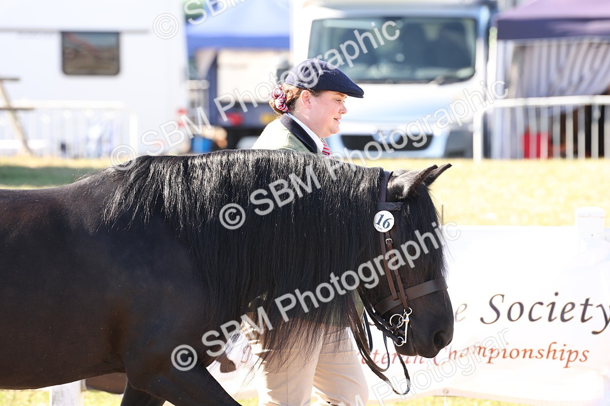SBM_12868 - Class 206 - IH Non Show Type Pony