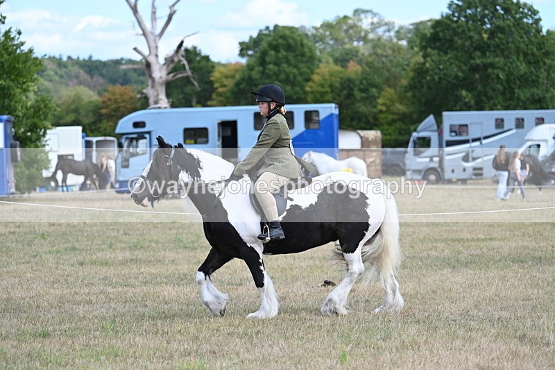 WJ7_6925 - Class 14 Ridden Coloured