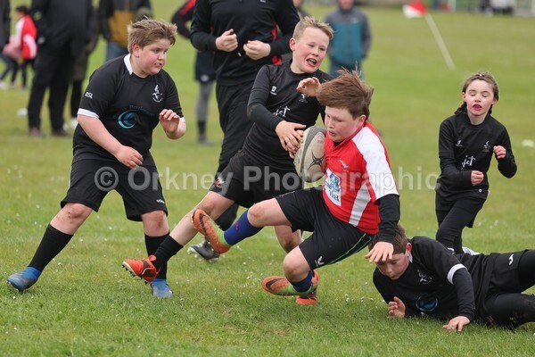 DAD22369 - Rookies/Mini Rugby on 7s Day