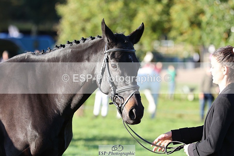 241027-085526-14897 - 463-Ilaria.Serra-FOXBURY.STORMBORN