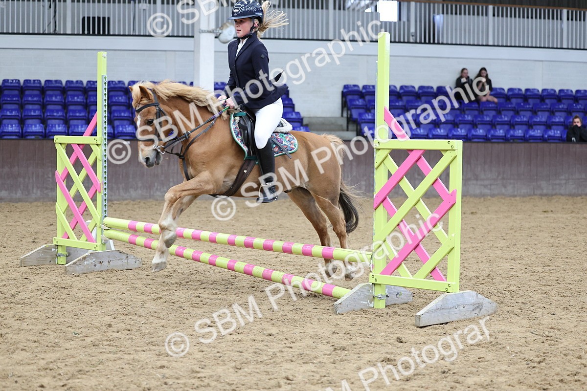 SBM_007285 - Class 2 - 50cm showjumping
