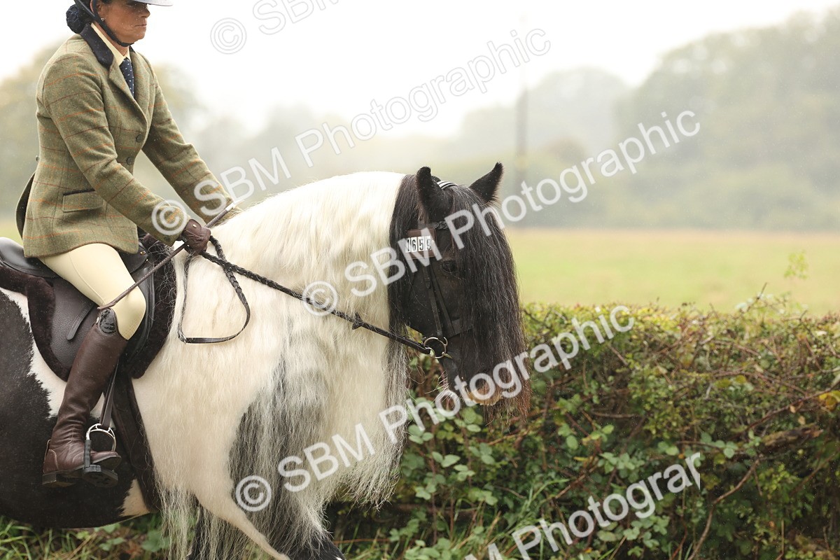 SBM_72662 - S70 - Traditional Cob Ridden