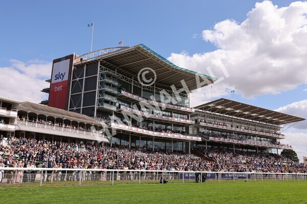 yr19082022r2-29 - Race 2 2.25pm Weatherbys Hamilton Lonsdale Cup (British Champions Series Race)