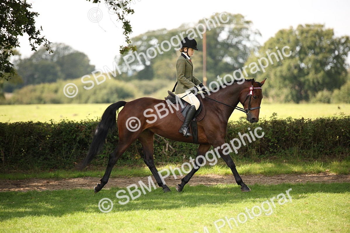 SBM_65912 - S64 - Riding Horse & Hack & Thoroughbred Ridden
