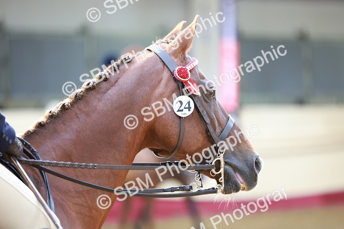 SBM_11925 - Class 102 - Equitation (Best Rider) Adult