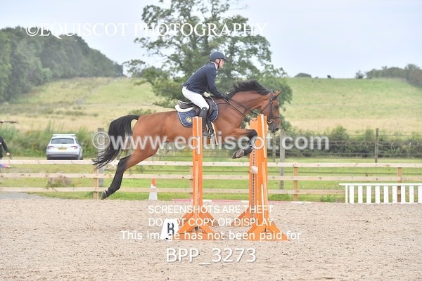 BPP_3273 - CLASS 5 Senior Newcomers/ 1.10m Open