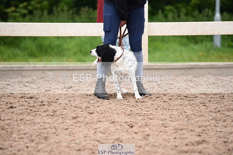 240518A-124842-01211 - Cls 5 Best Purebred