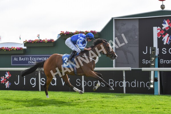 yr08072022r7-35 - Race 7 5.30pm Jigsaw Sports Branding Handicap