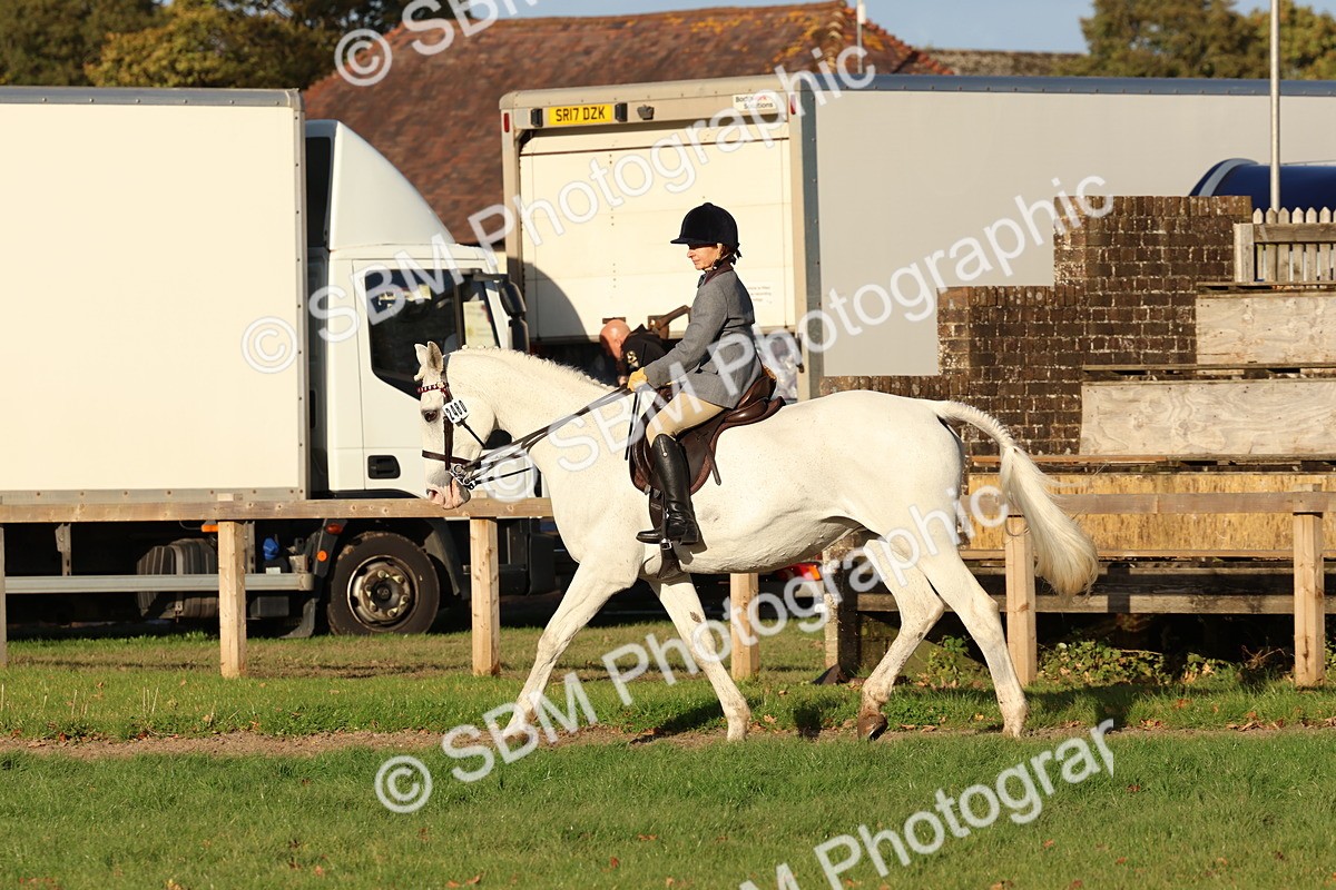 SBM_53048 - S29 - Mature Veteran Ridden