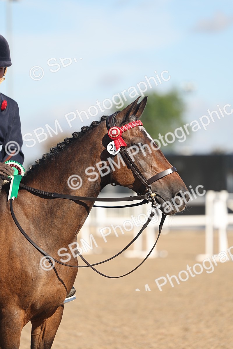 SBM_12262 - Class 303 - Ridden Pure Bred Horse Pony