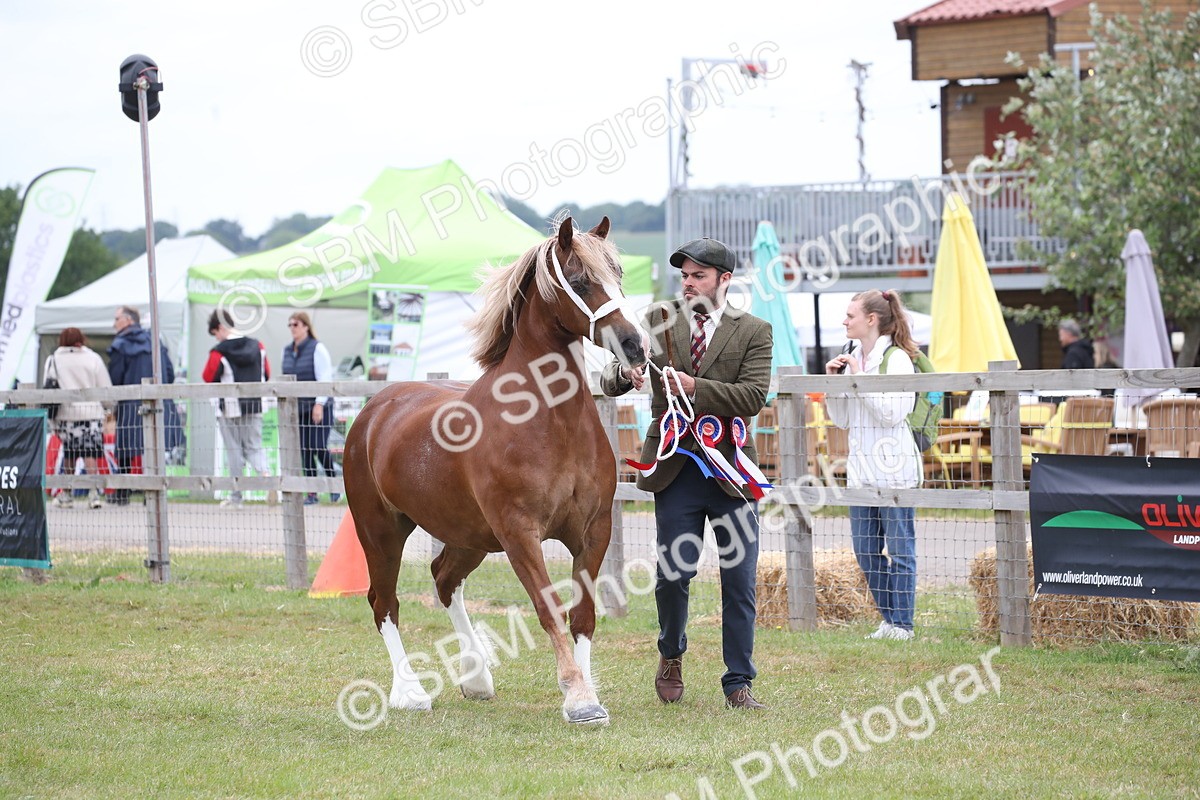 SBM_09718 - Ch 50 - Price Family Supreme In Hand