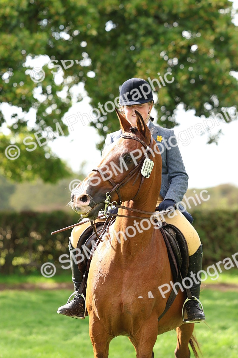 SBM_47716 - S28 - Veteran Ridden