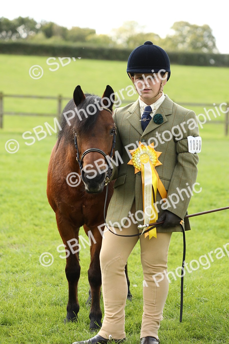 SBM_62875 - S46 - Mountain & Moorland In Hand Small Breeds
