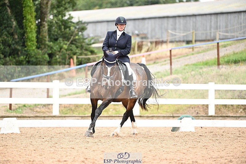 240815A-132821-01528 - 205-Donna.Boyd-Vagebond.vd.Withoeve.Z