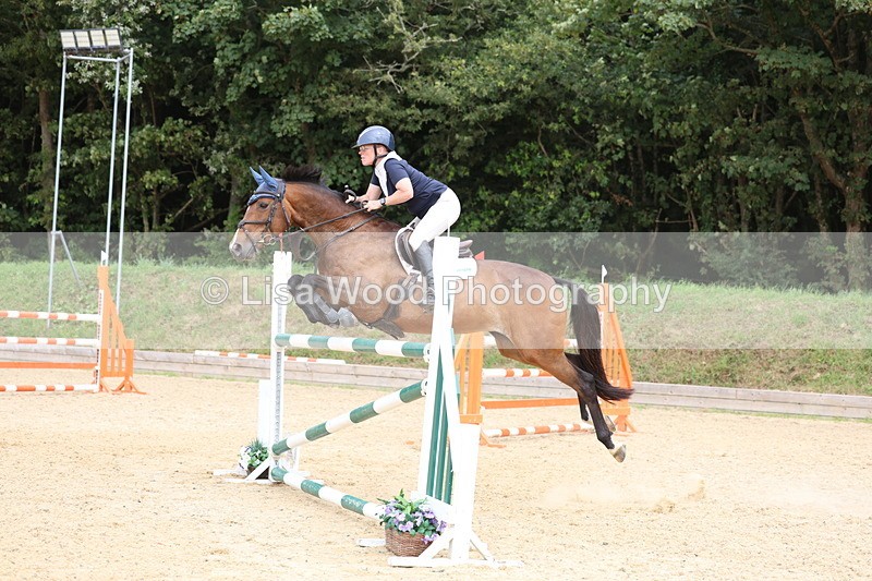 3E7A6545 - Class 9: Senior Foxhunter/1.20 open