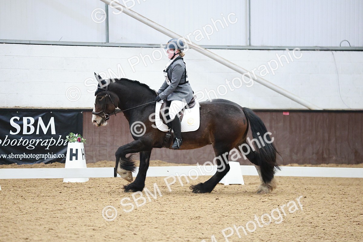 SBM_003854 - Class 2 - Novice 2020