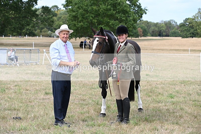 WJ6_6358 - Class 19 In-hand Veterans (Uploaded correct folder)