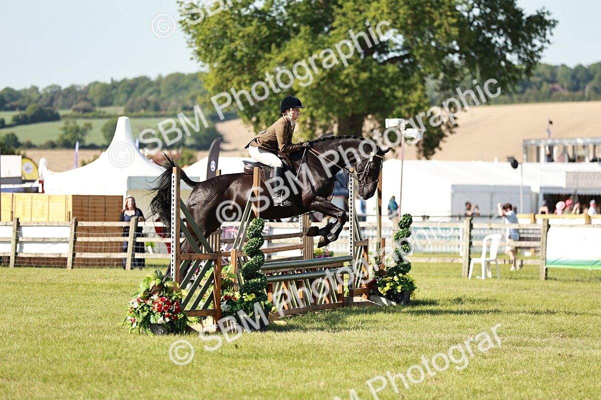 SBM_19152 - Class 115-116 - LIHS BSHA Rising Star Working Hunter & Show Horse